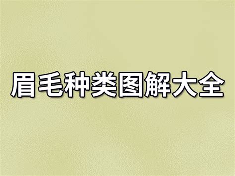 眉毛淡面相|眉毛面相图解大全：28种眉毛类型图文详细分析！